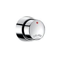 Time flow shower valve