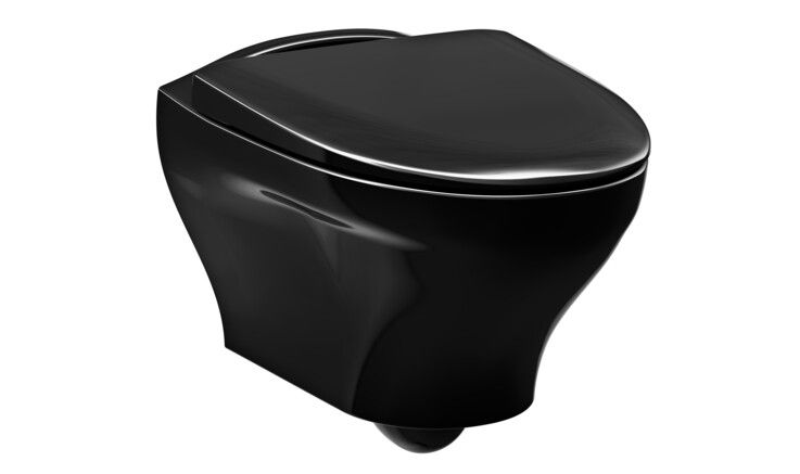 wall hung WC washdown