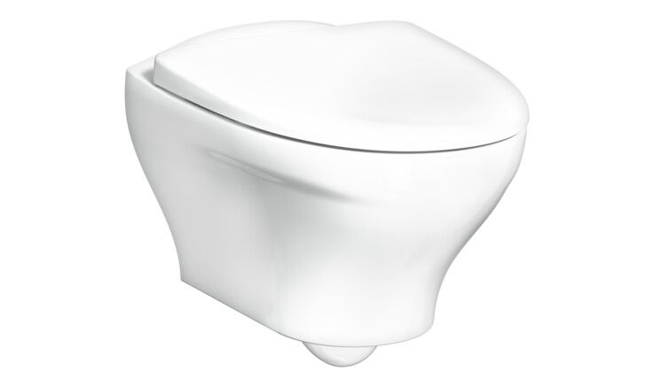 wall hung WC washdown