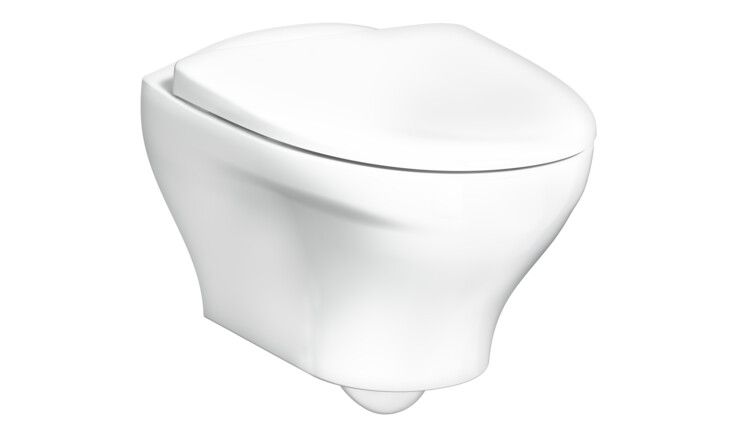 wall hung WC washdown