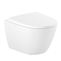 Wall-hung toilet with Dual Flush