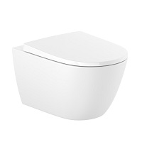 Wall-hung toilet with Dual Flush