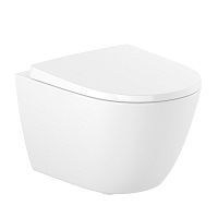 Wall-hung toilet with Dual Flush