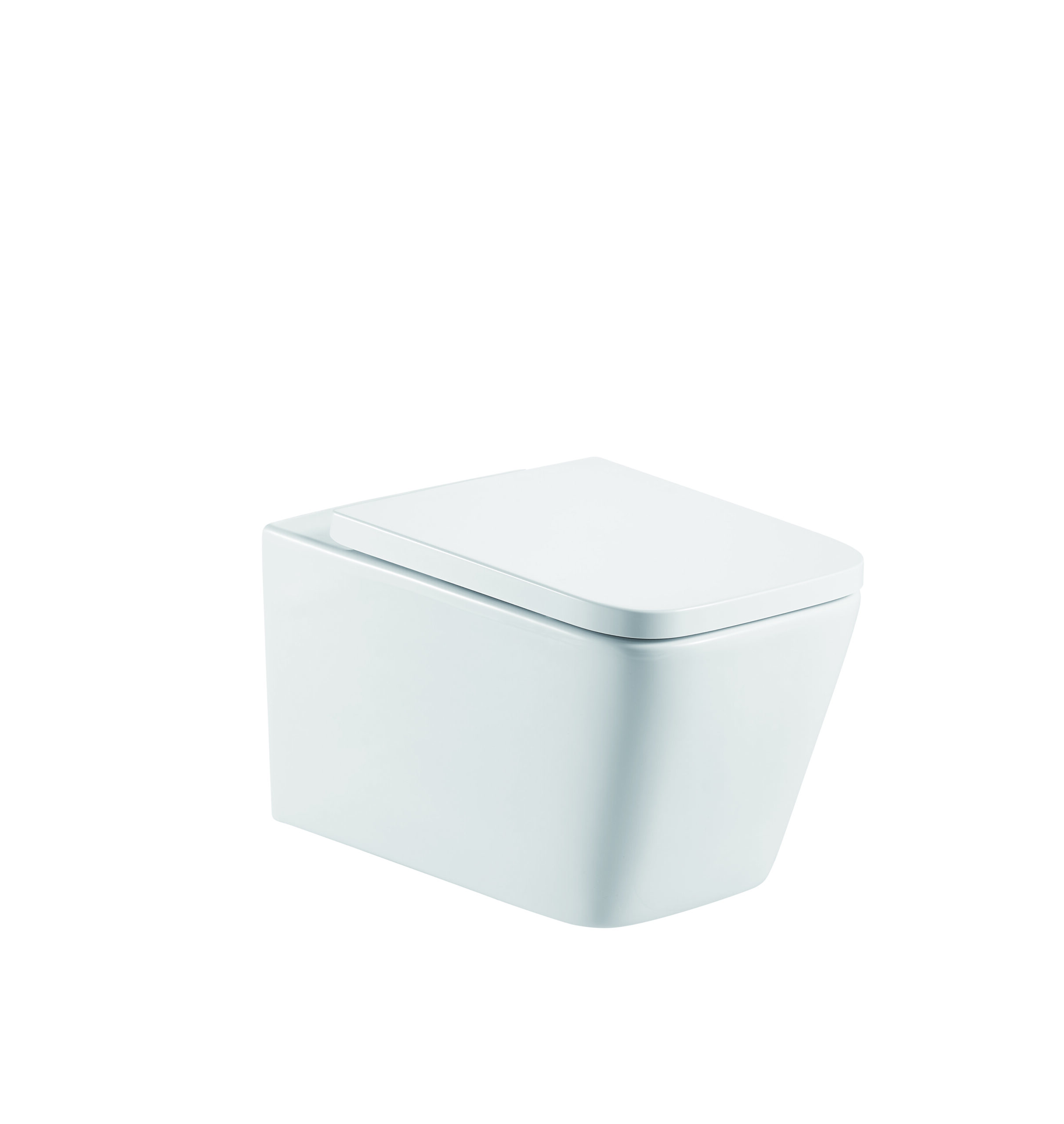 WALL HUNG TOILET