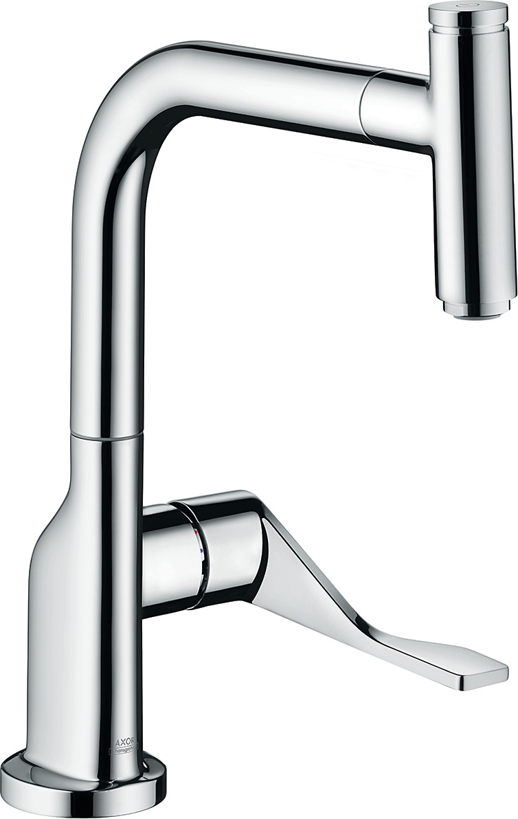 Single lever kitchen mixer 230 with pull-out spout EcoSmart
