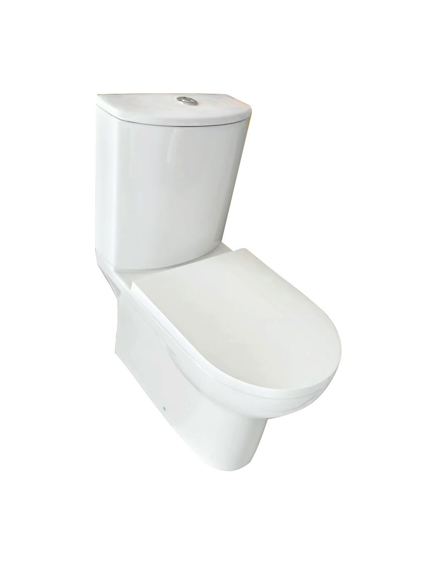 Eden Rimless Close Coupled Fully Shrouded WC Set – PP Seat & Fittings