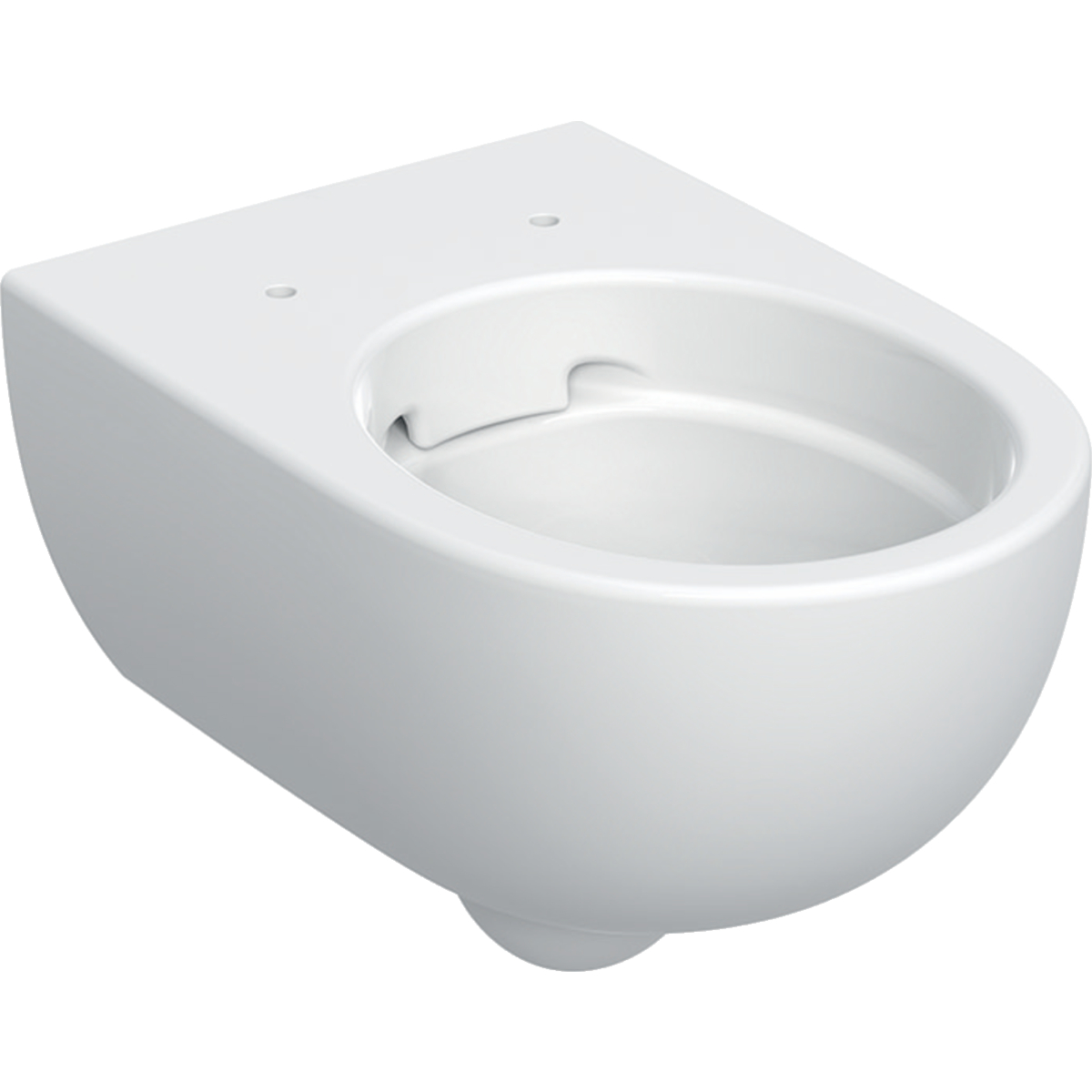 Geberit Selnova wall-hung WC, Premium, washdown, shrouded, Rimfree: T=53cm, white
