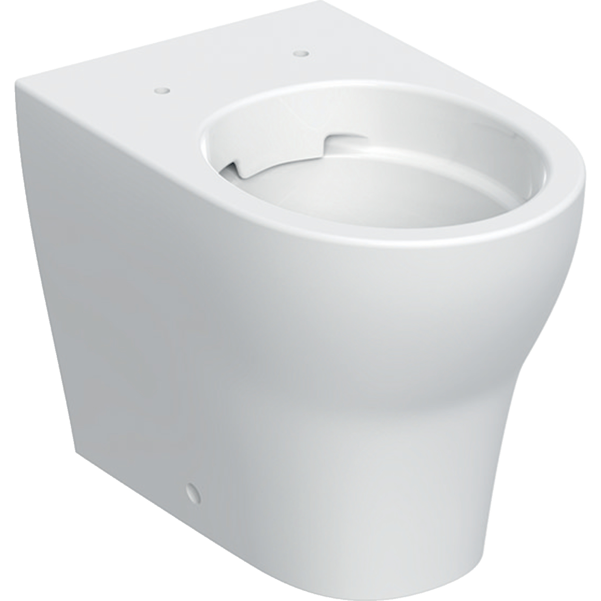 Geberit Selnova floor-standing WC, Premium, washdown, back-to-wall, horizontal or vertical outlet, shrouded, Rimfree: T=53cm