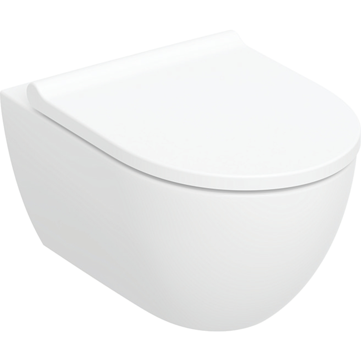 Geberit Acanto wall-hung WC set, washdown, shrouded, Turbo Flush, with WC seat: T=53cm, Soft-closing mechanism=yes, Quick-release hinges=Yes, lockable, Fastening=from above, white