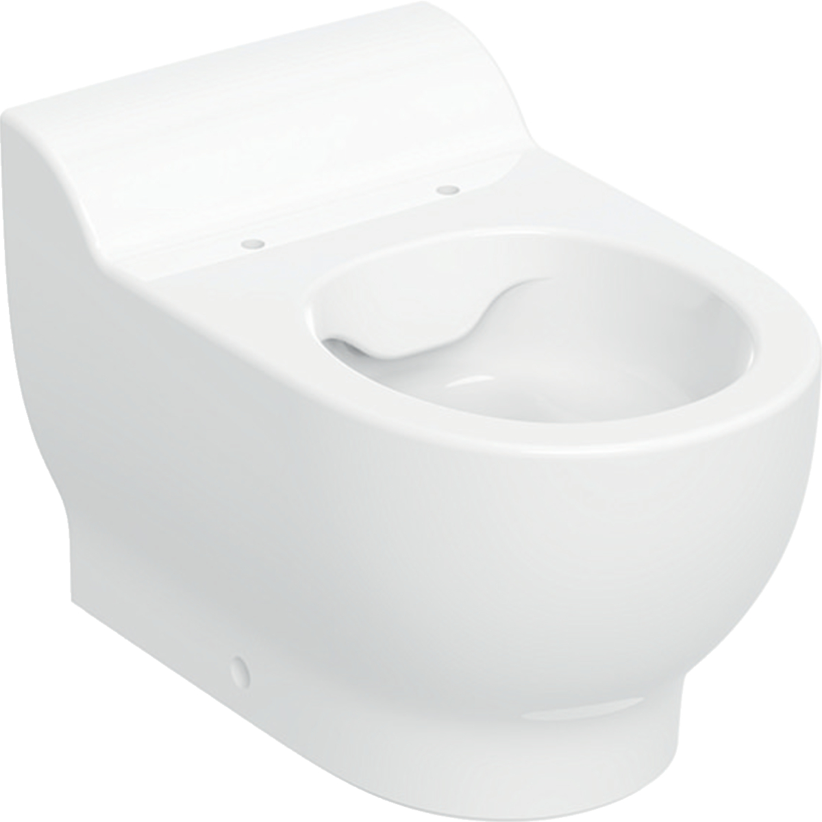 Geberit Bambini floor-standing WC for children, washdown, Rimfree, for WC seat: T=53cm, white
