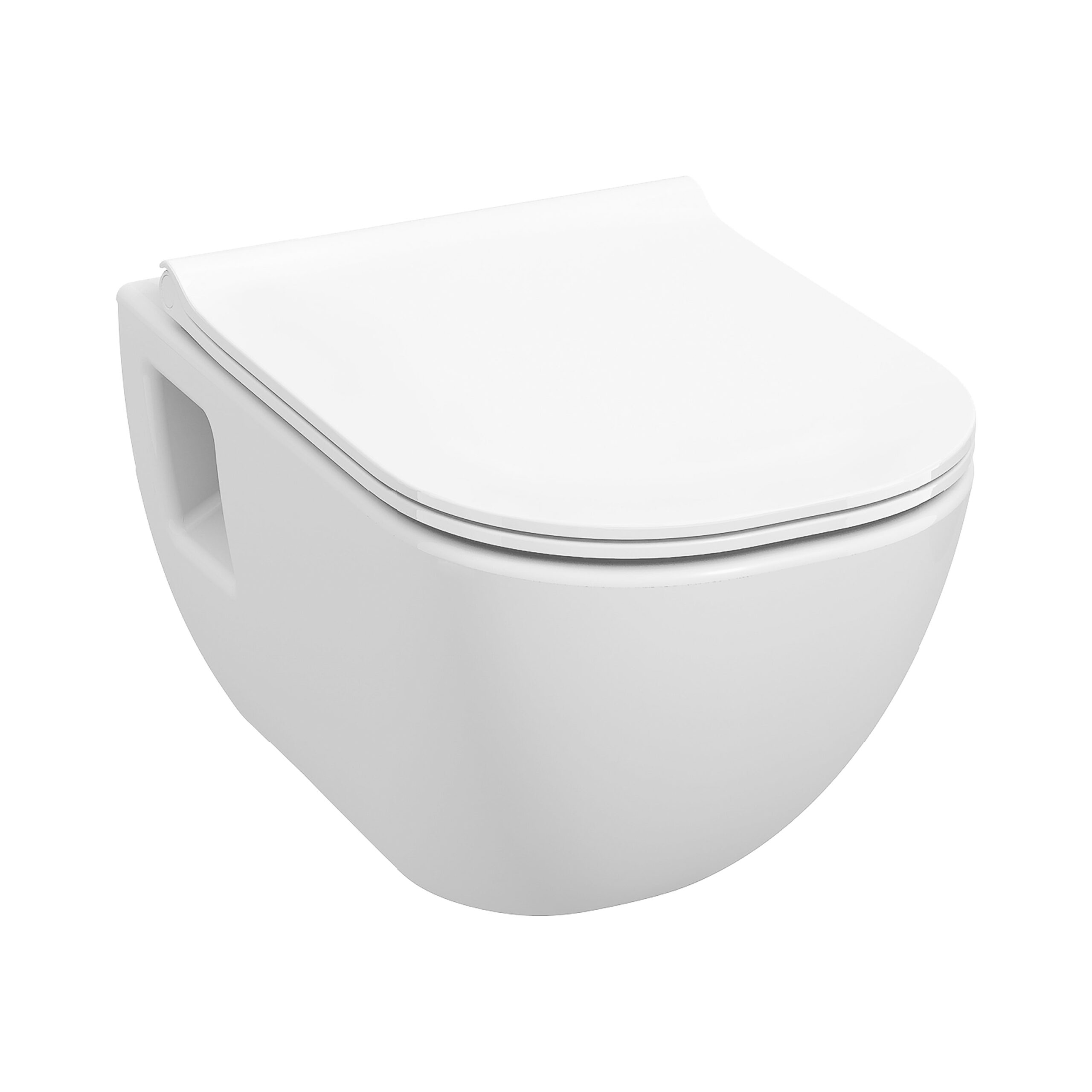 MIO wallhung WC rimless, washdown, visible fixation, white
