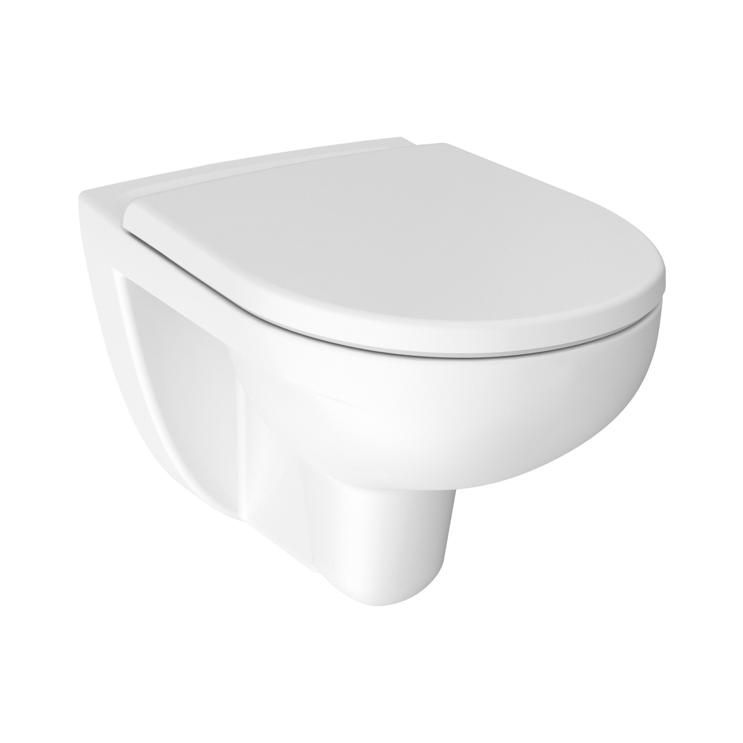 Lyra plus rimless, wallhung WC, washdown Dual flush 5/3l