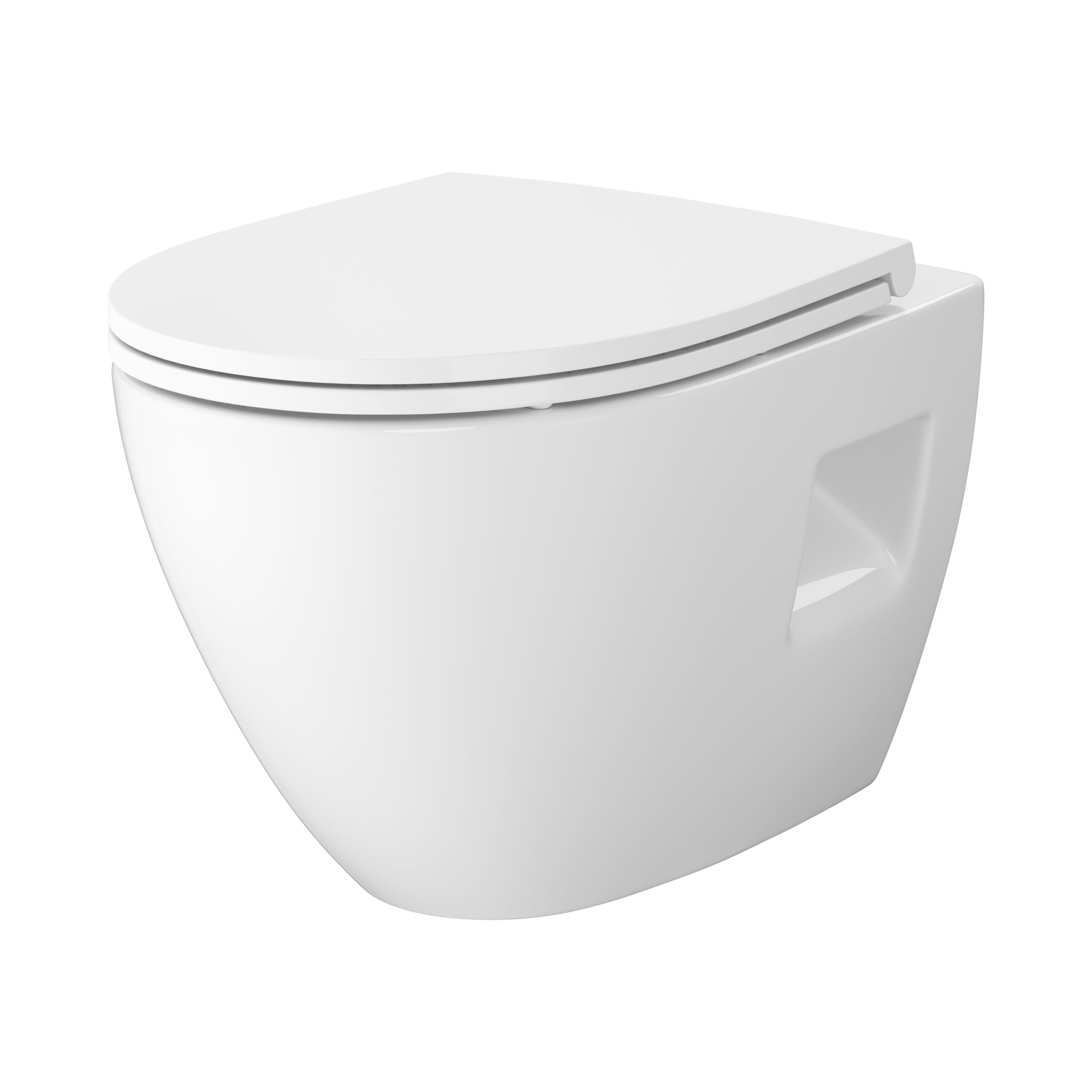Vortex Wall hung bowl with toilet seat