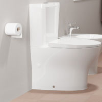 Floorstanding-Close-coupled-WC-Suite-with-453-litres-dual-flush