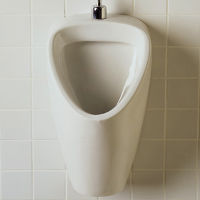 Urinal-top-inlet